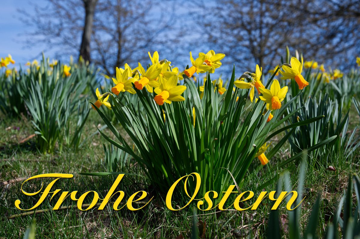 Franky 📷 🌻 tweet media