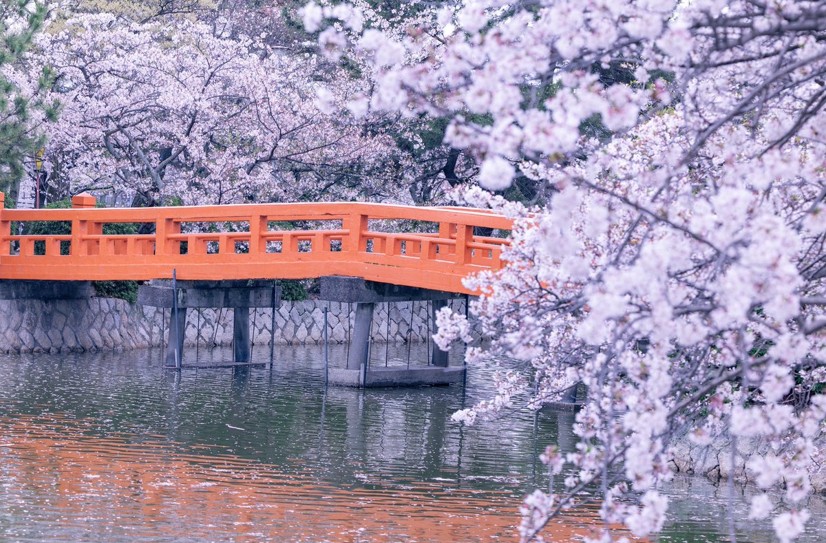 TAKA📷 tweet media