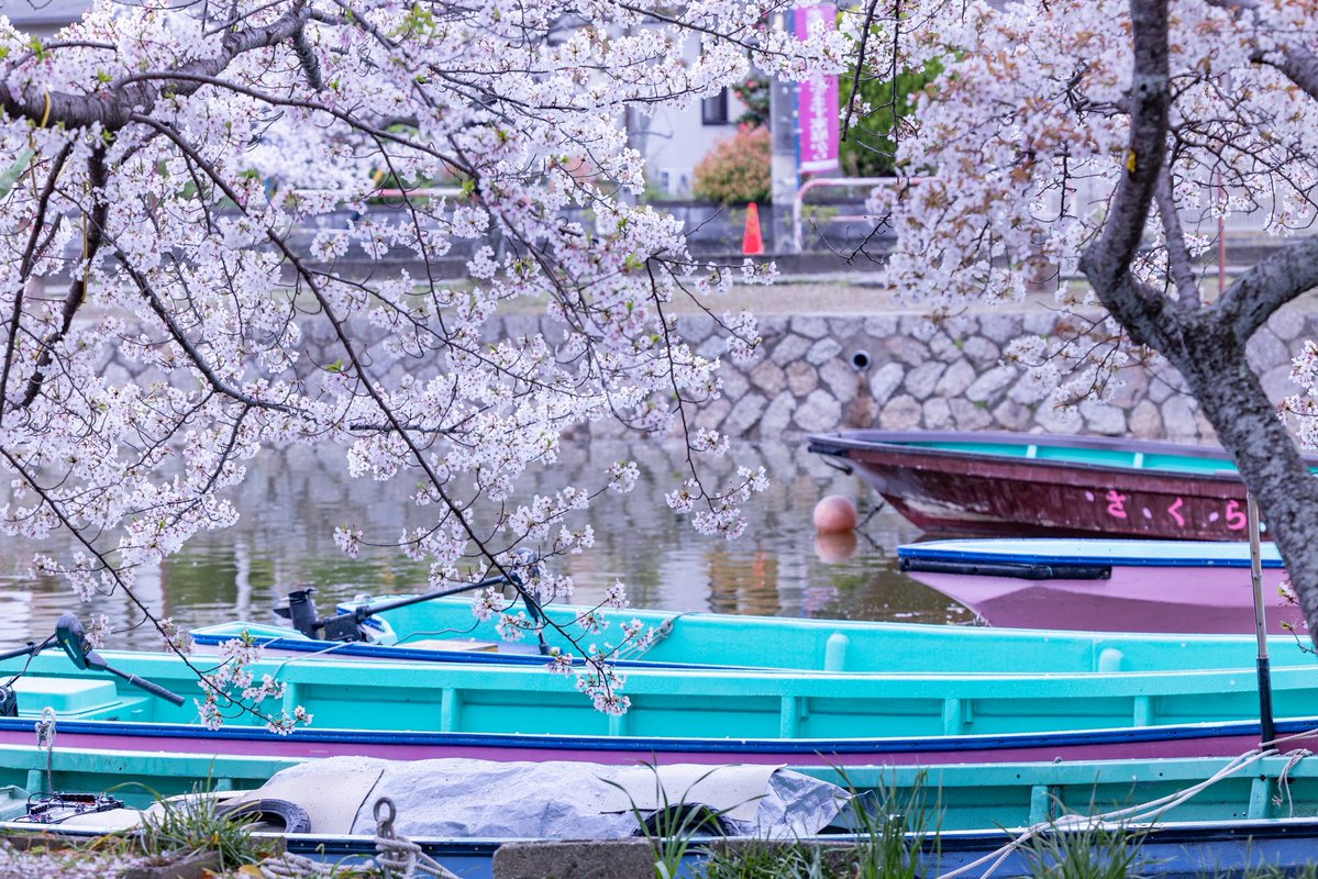 TAKA📷 tweet media