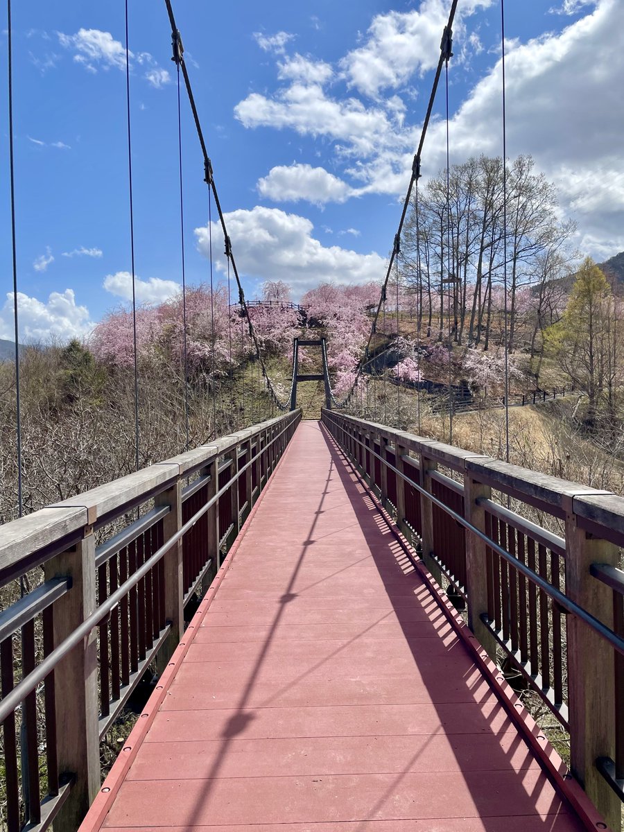 Alice_Chocolat tweet media