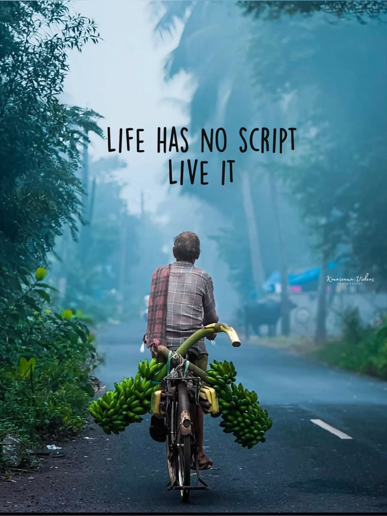 Letstalk wisdom tweet media