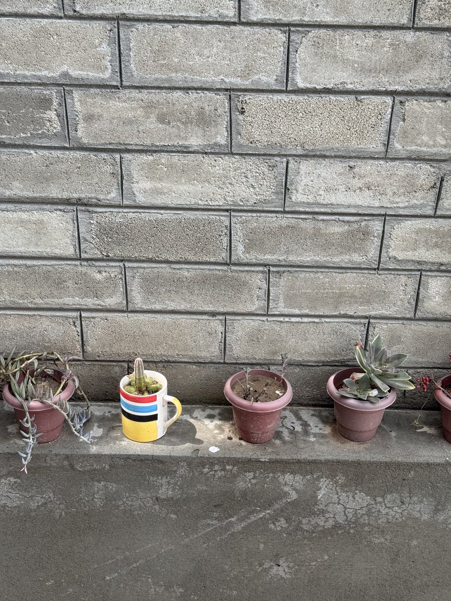 Arshan_amin tweet media