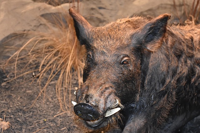 Ricky Archibald tweet media