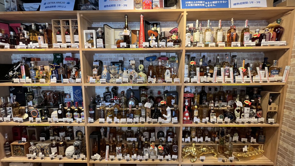 おいでよ名古屋@おいなご tweet media