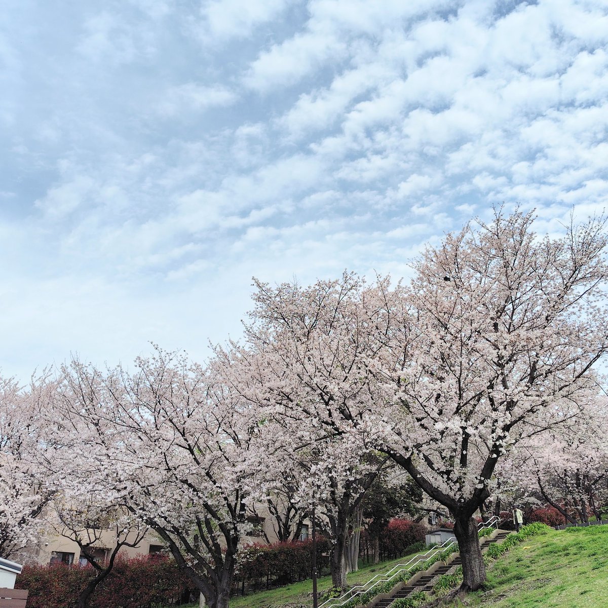 Aco🌈🪽⛸️🌸🍊 tweet media