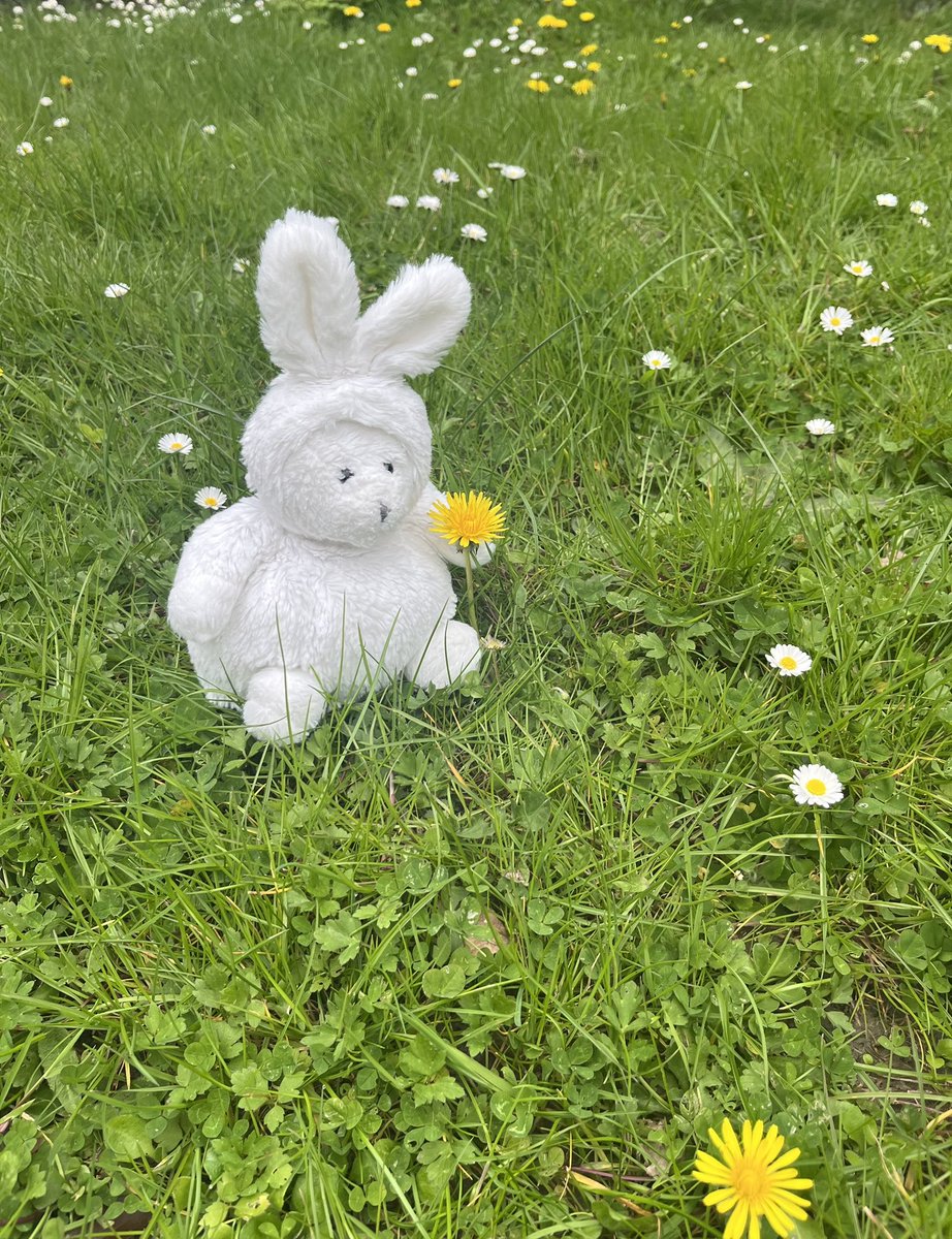 Estonia in France tweet media