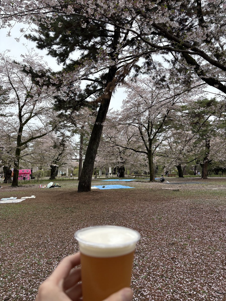 ジョン介 tweet media