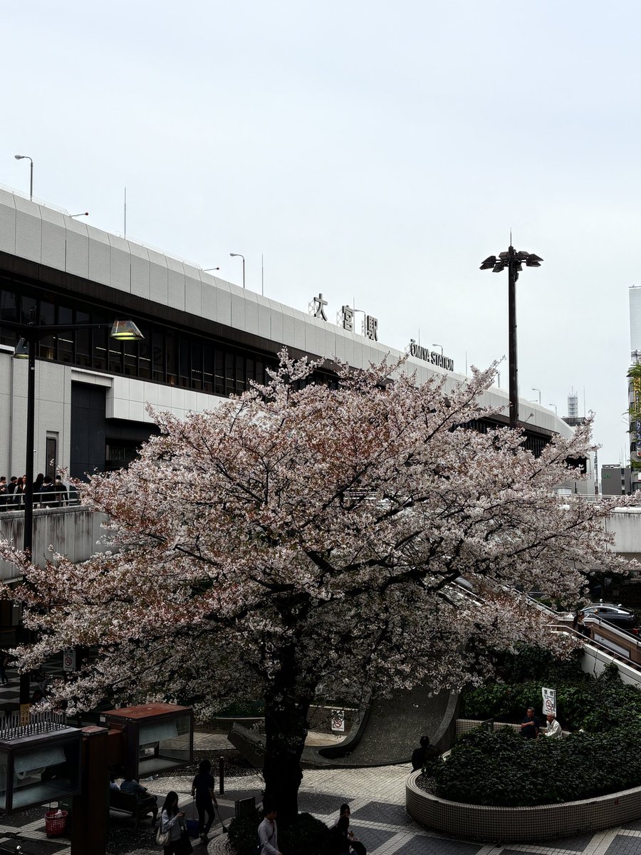 ジョン介 tweet media