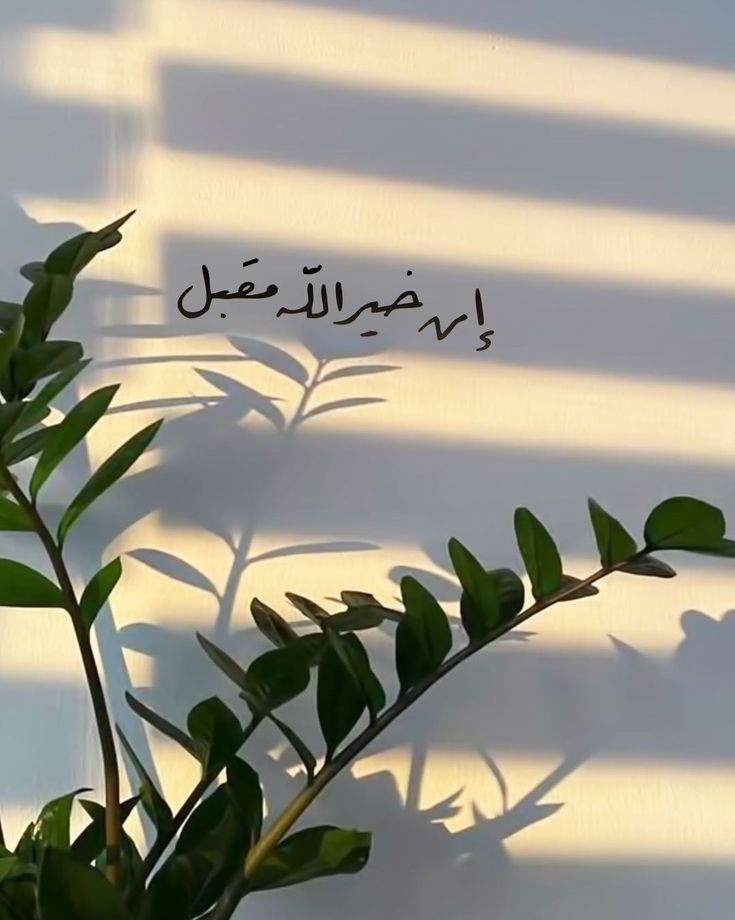 أَبشر🤍..