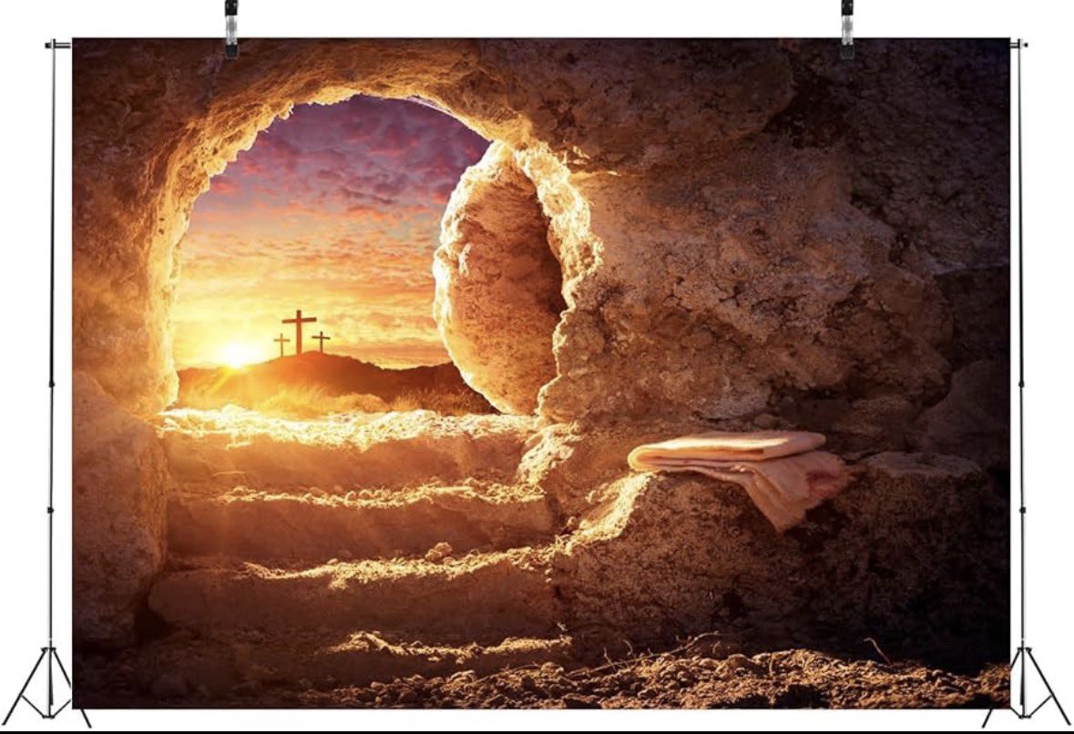 VOX Torrelodones tweet media