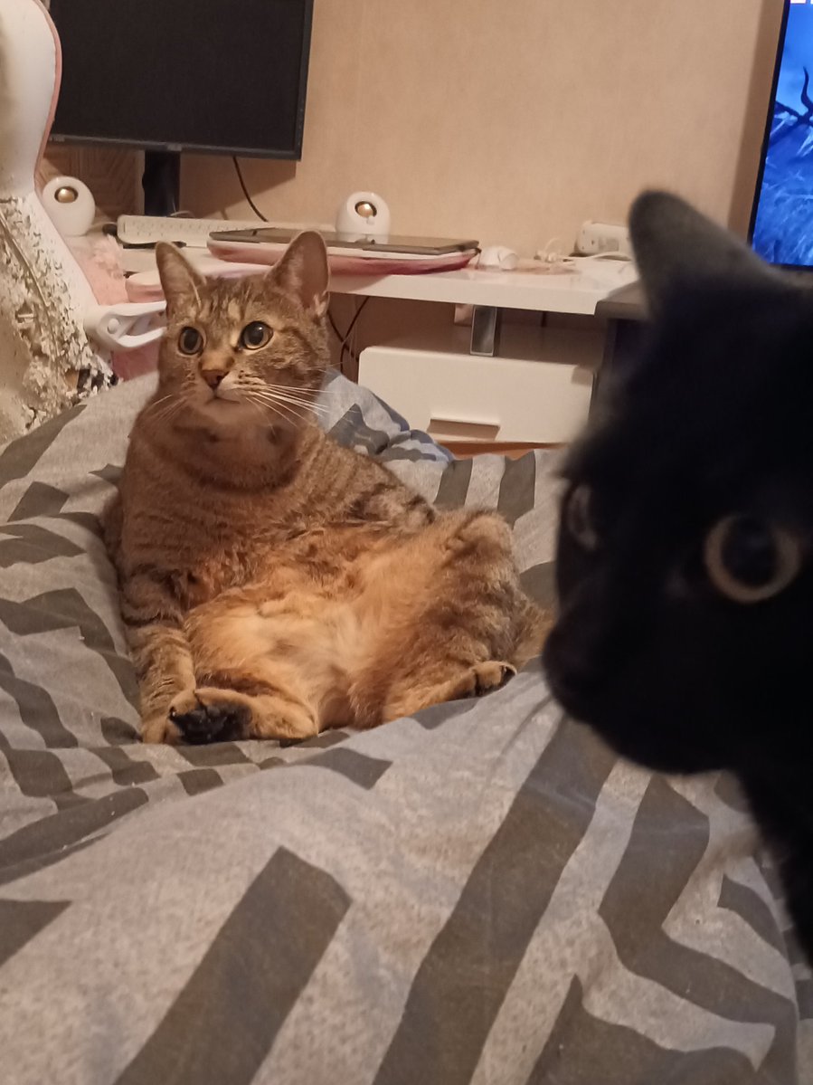 Azumi-kun - C0ms open tweet media