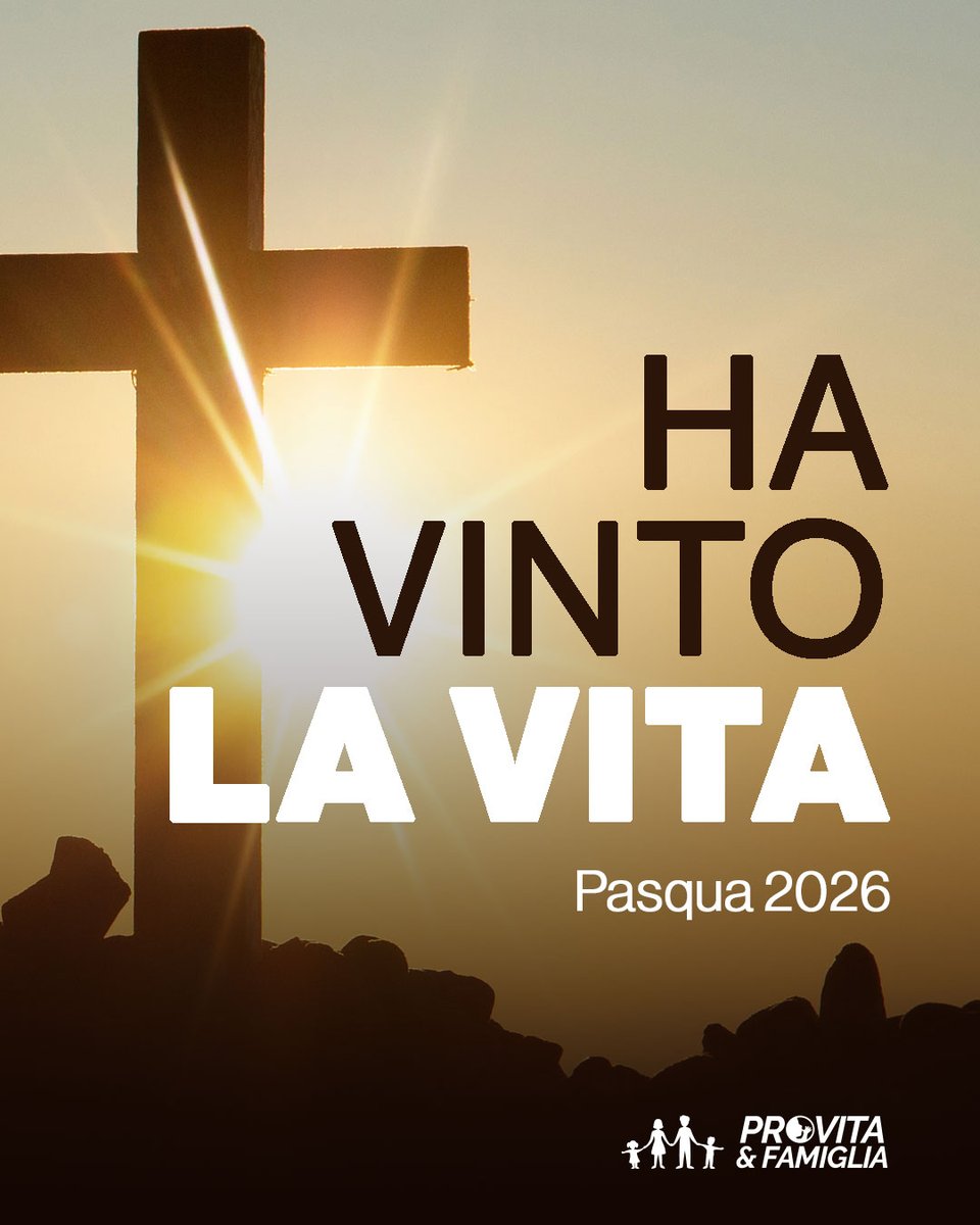 Pro Vita & Famiglia tweet media