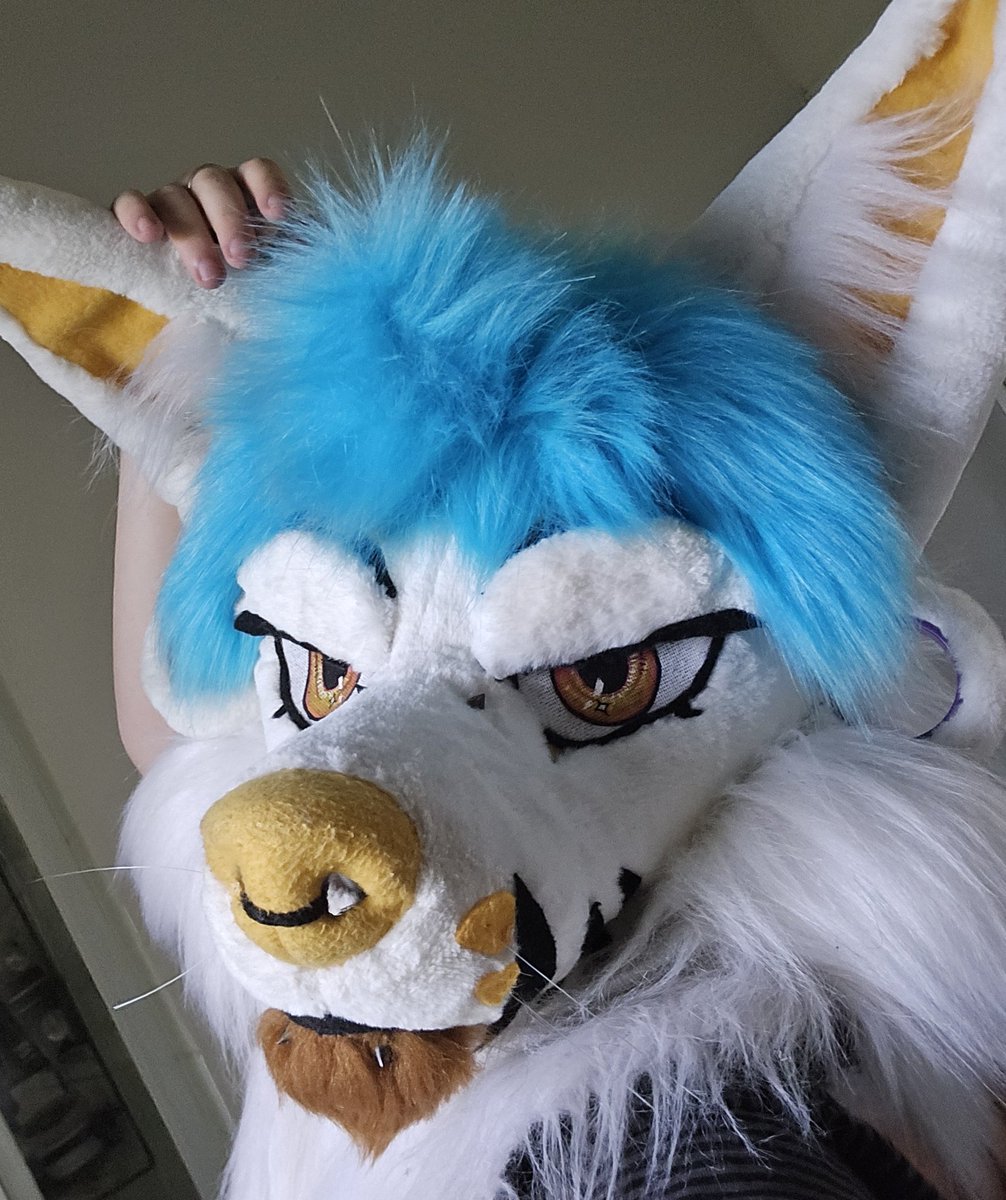 🕸𝕲𝖗𝖆𝖕𝖍𝖎𝖙𝖊🕸🔞FurDu26☆ComsOpen tweet media