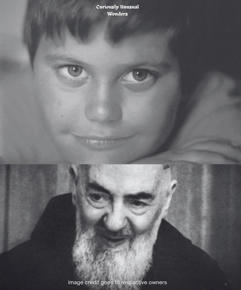 The Husky tweet media