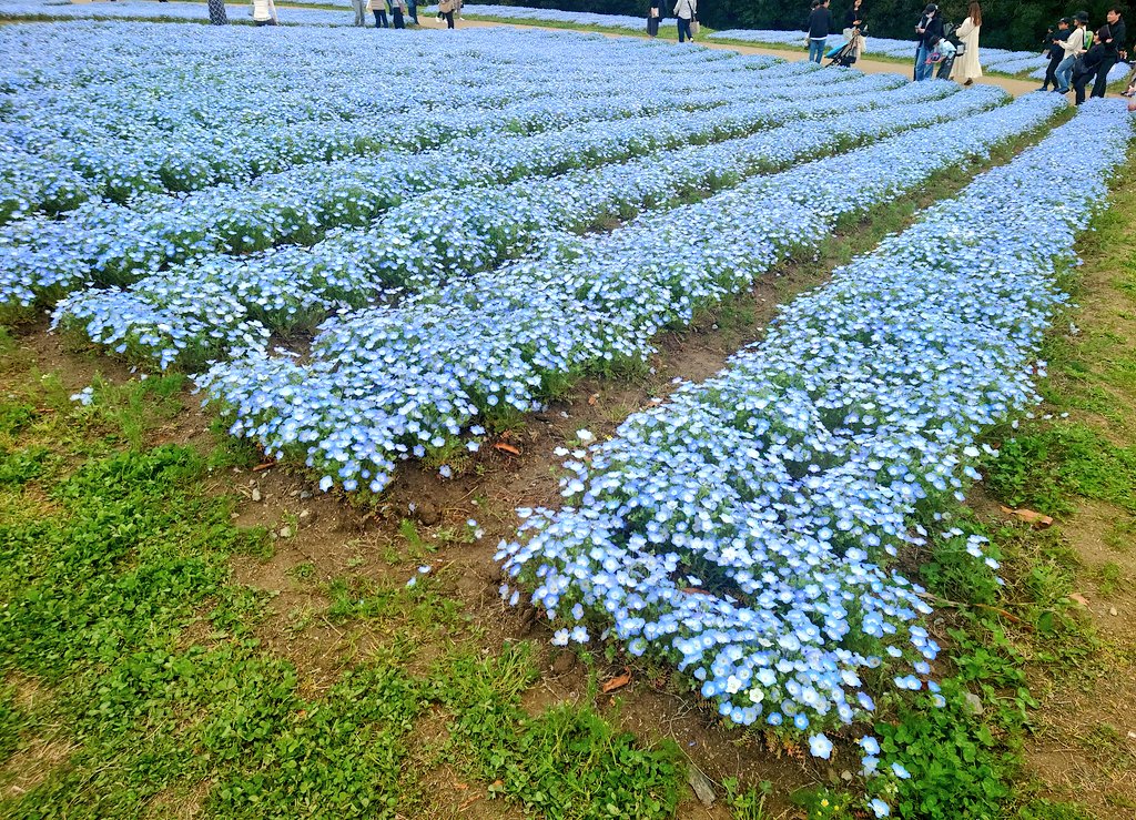 慶雲(まわりみち'39／Ｓ―演ｓ？) tweet media