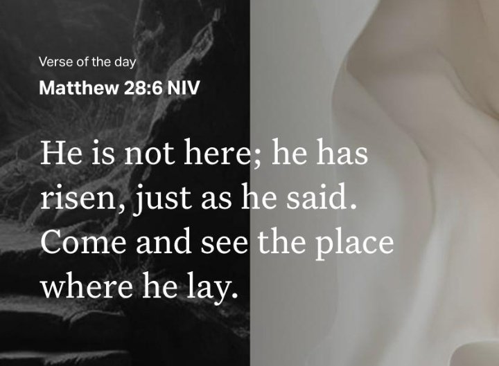 Pizzy Lee📘 tweet media