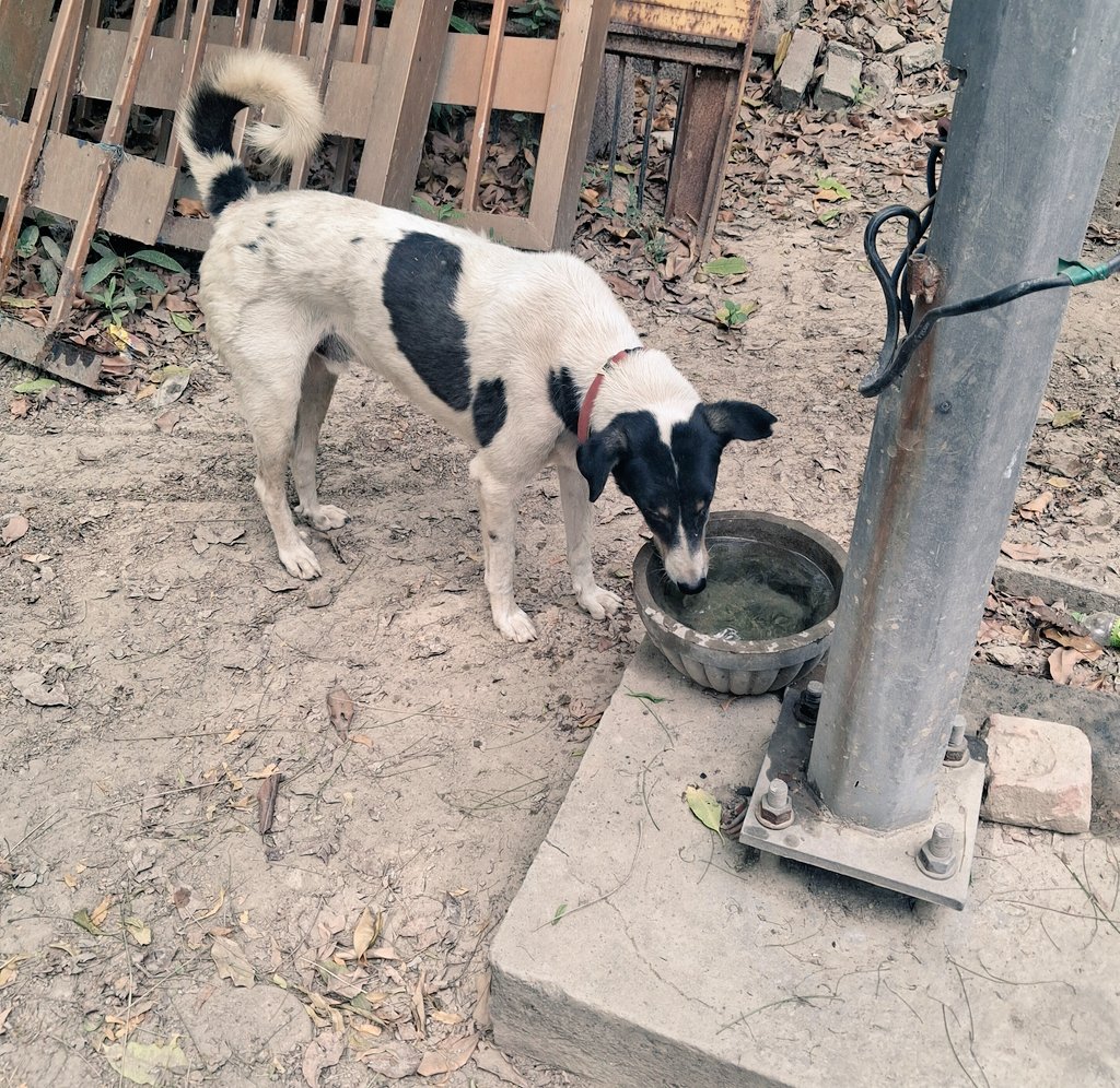 Pallavi U Dar tweet media