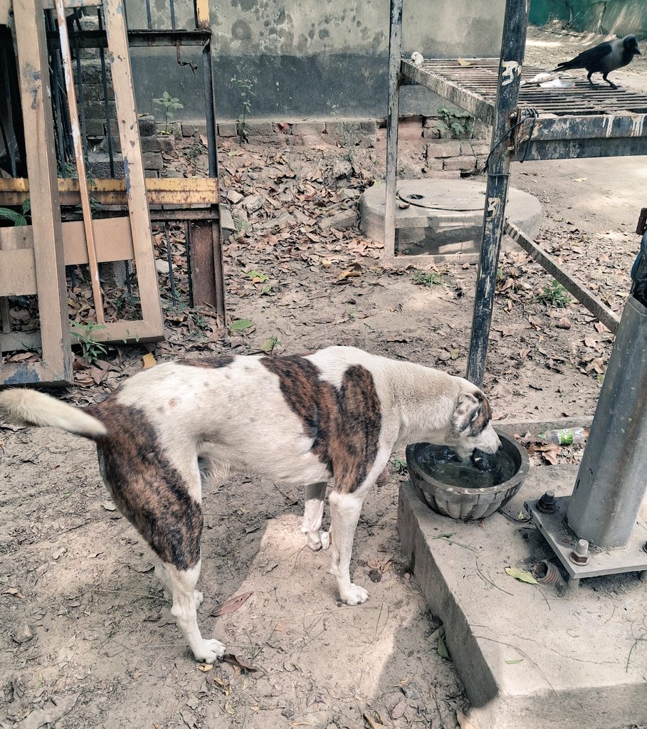 Pallavi U Dar tweet media