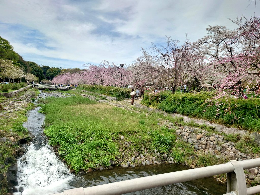 慶雲(まわりみち'39／Ｓ―演ｓ？) tweet media