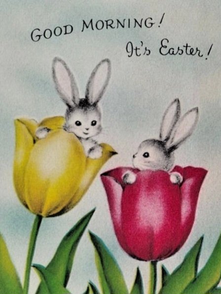 Gem 🧡🎪🏖⭐🪄💎🙋‍♀️🎡 tweet media