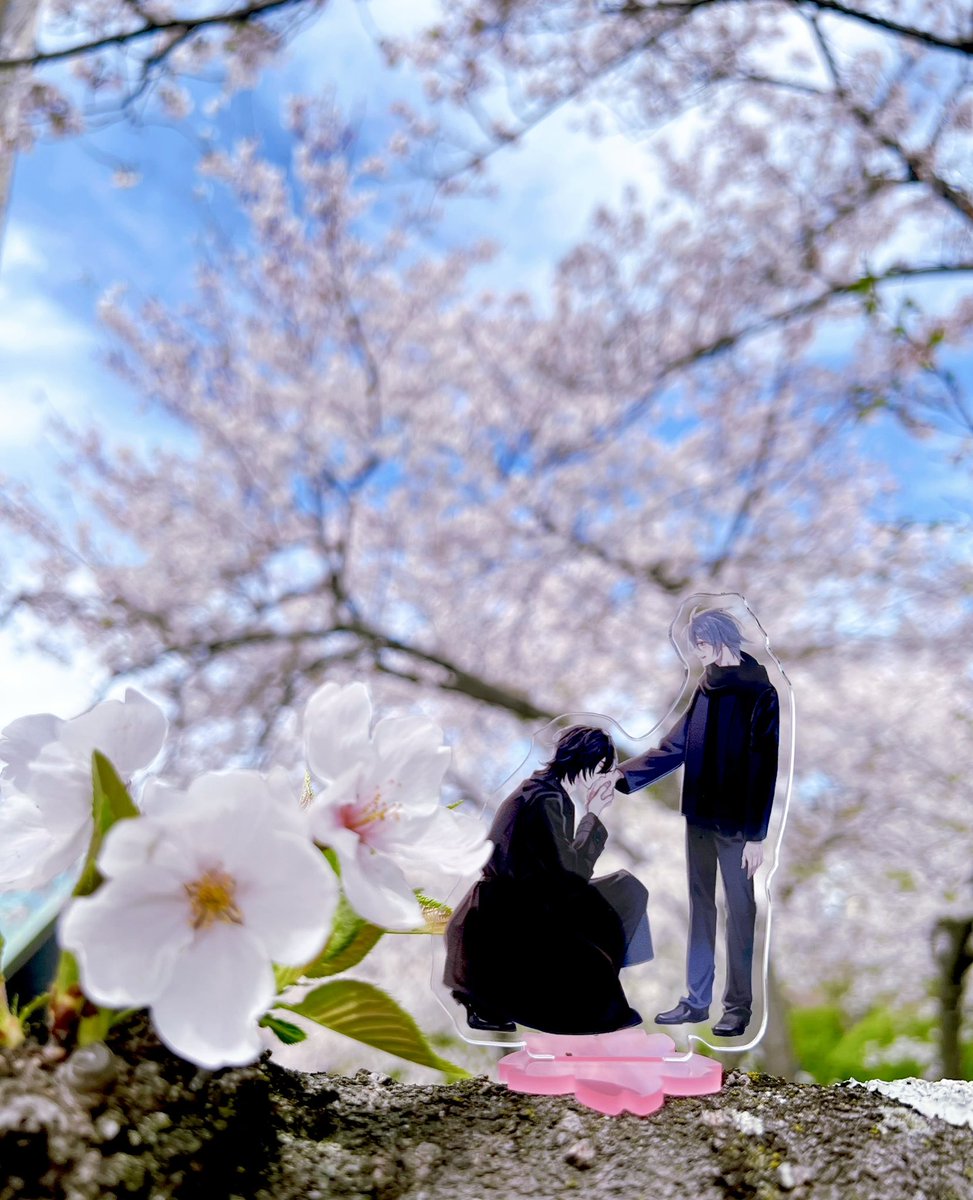 ふひと tweet media