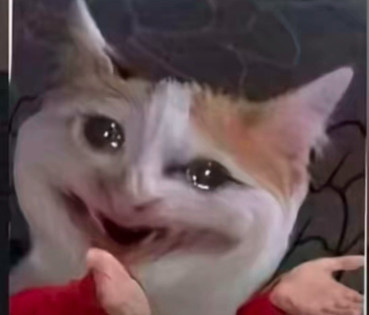 The Next Big Thing⭐ tweet media