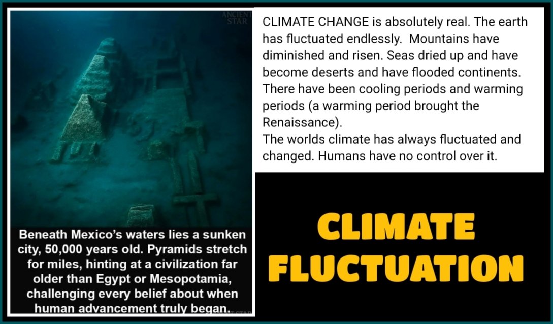 Stephanie Lucas tweet media