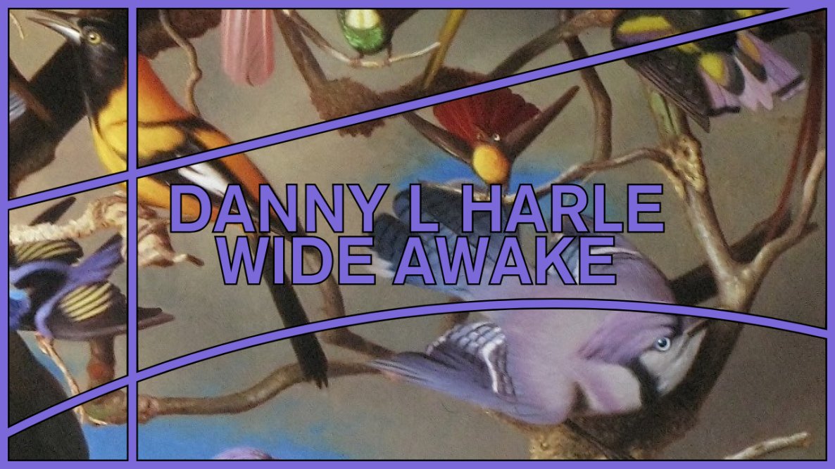 pc music archive tweet media