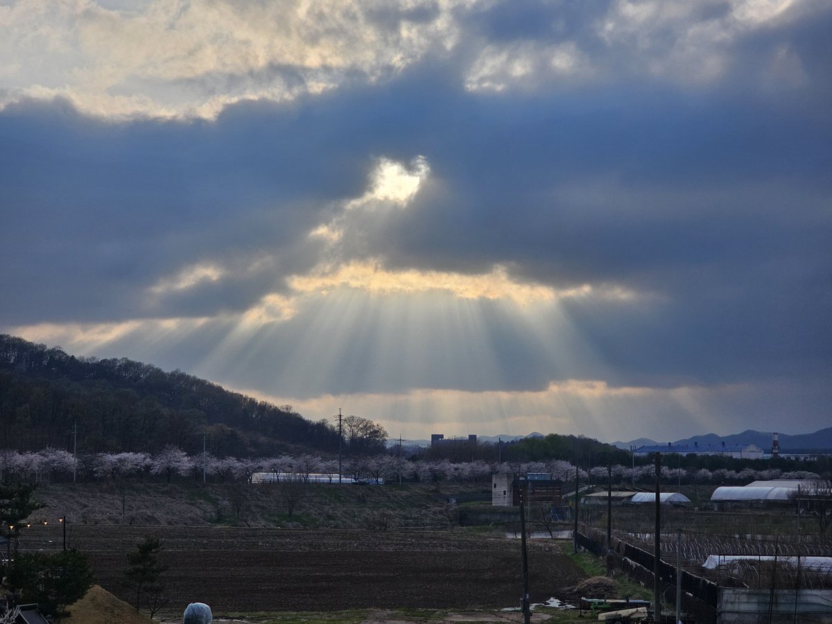 Ugonna Okeke tweet media