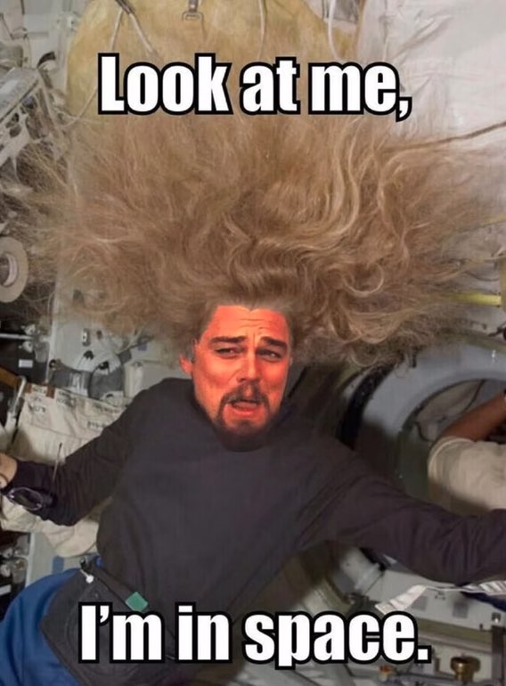 Susan Grant 🥶🦍 tweet media