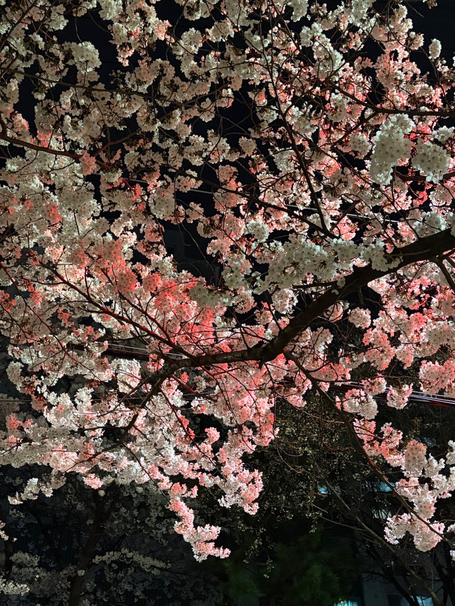 slow계듀 tweet media