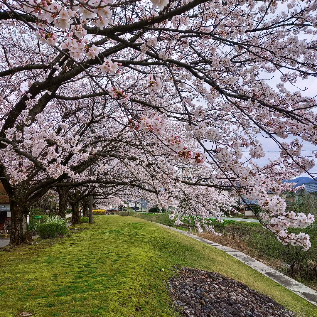 yuji_0820 tweet media