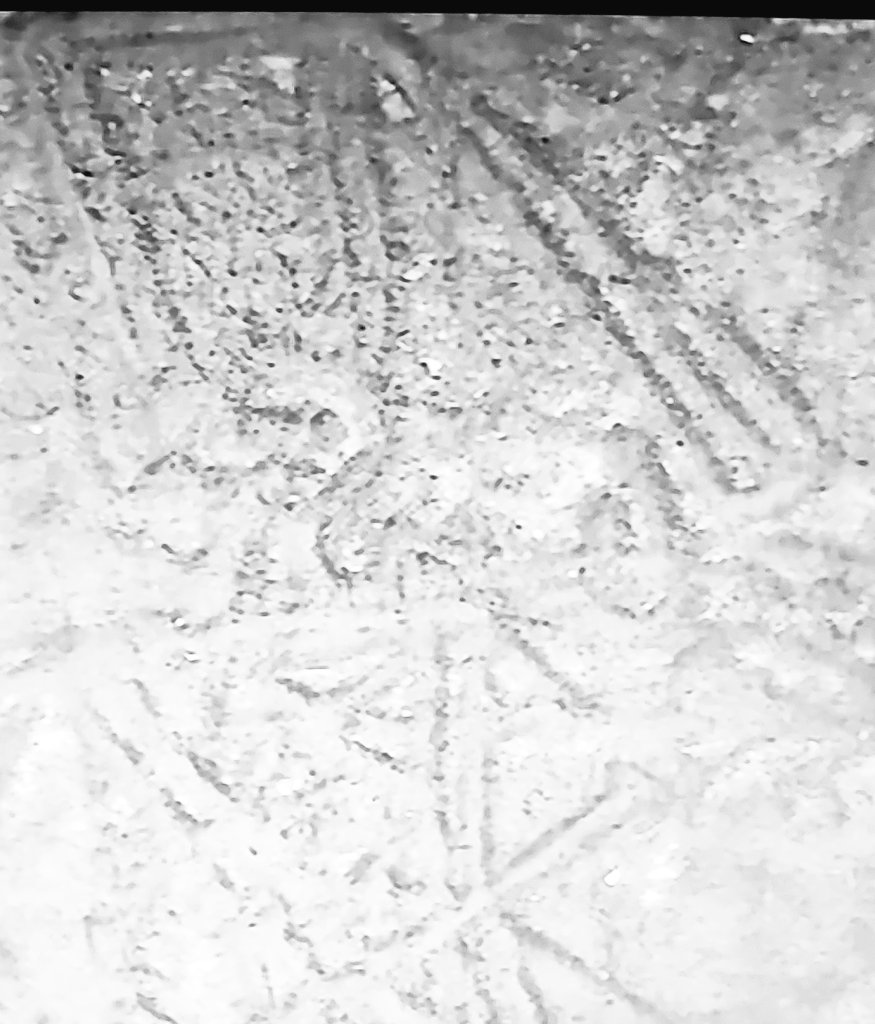 Ümit ŞIRACI tweet media