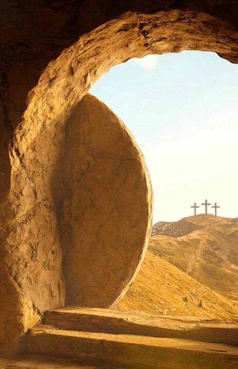 benwildman1992's tweet photo. Death is defeated โ๏ธ
Hope is alive ๐
New life begins ๐
#HappyEaster #ChristIsAlive #HeIsAlive #HeIsRisen #ChristIsRisen #Easter #ResurrectionDay https://t.co/TCiMokH2Wh