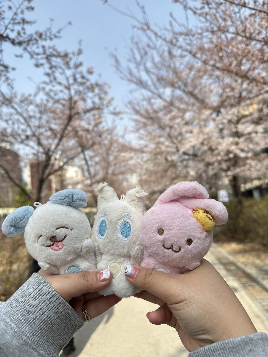 นาดุ่ย🍊 tweet media