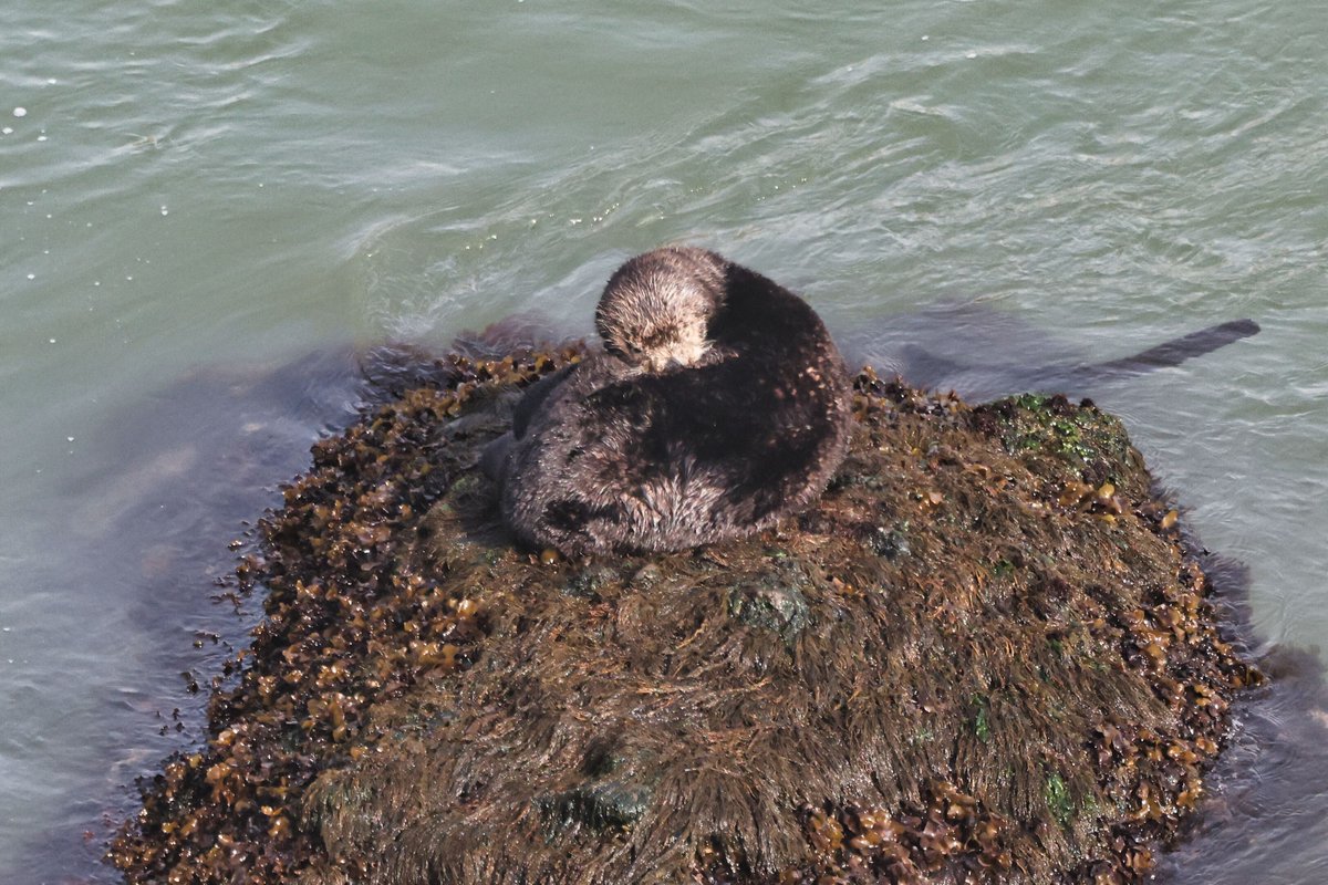 温根湯温泉の人♨️ tweet media