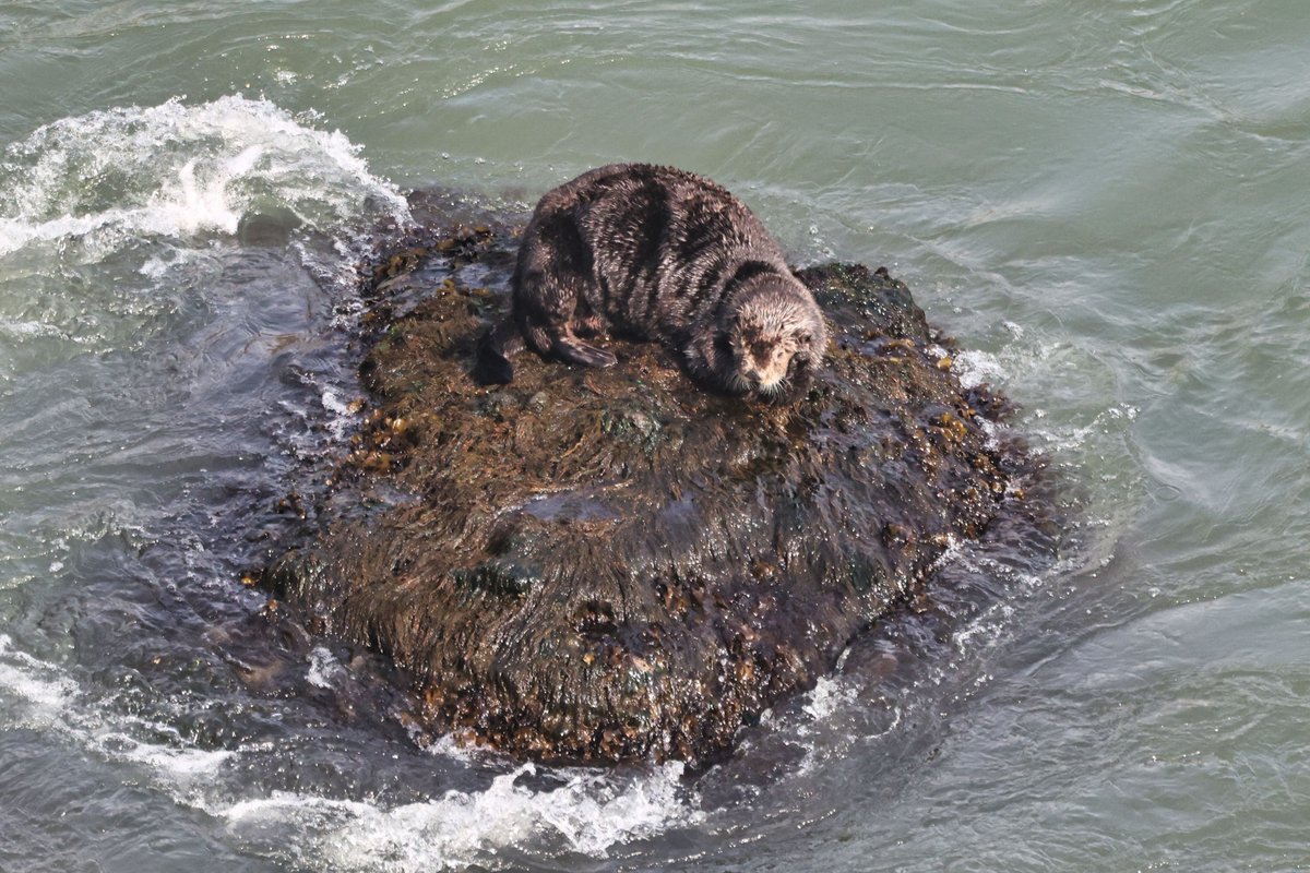 温根湯温泉の人♨️ tweet media