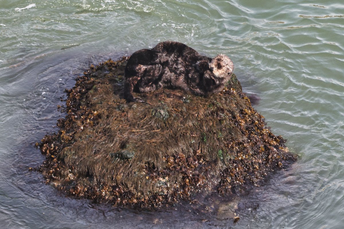 温根湯温泉の人♨️ tweet media