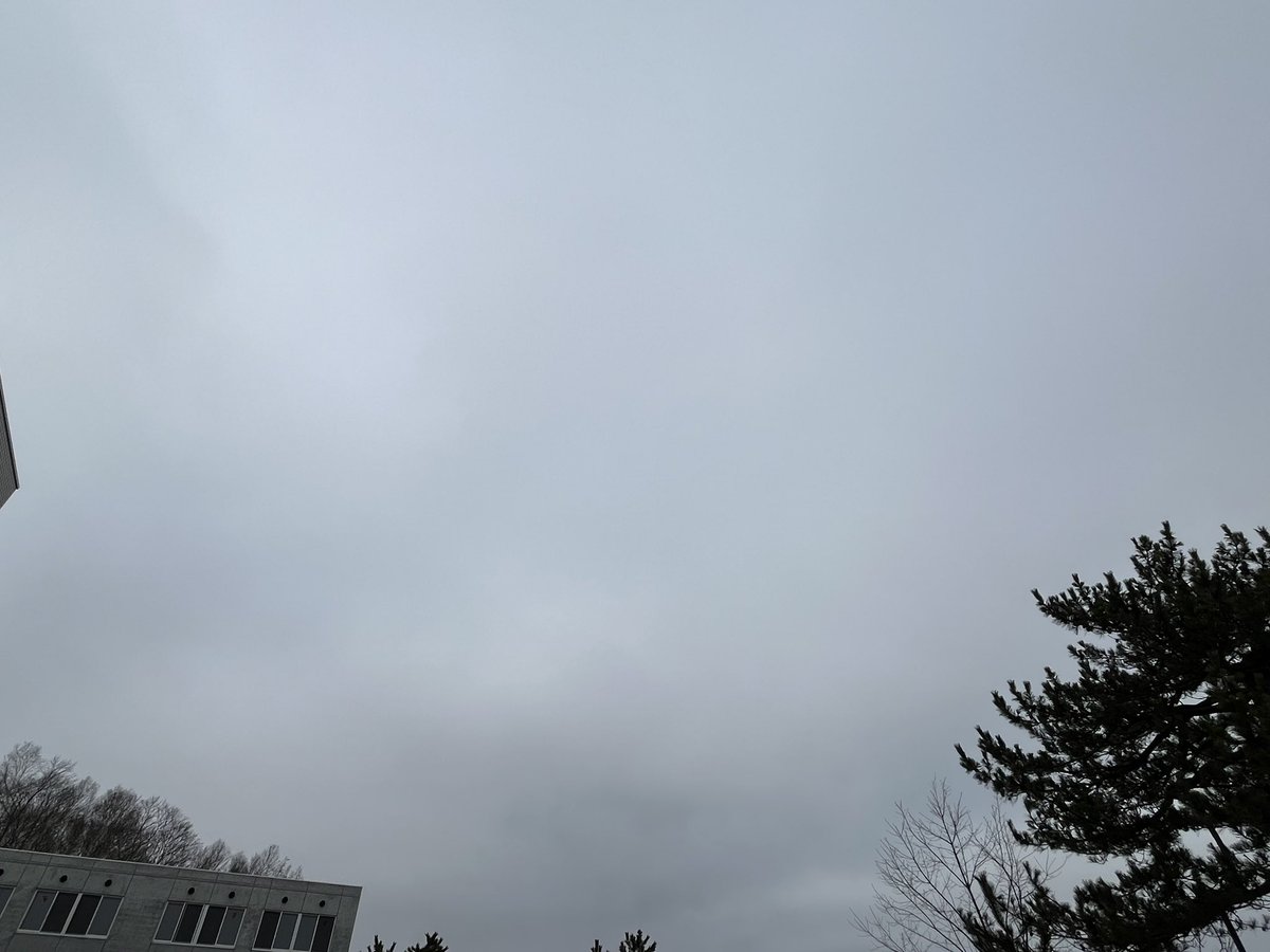 ことぶき。 tweet media