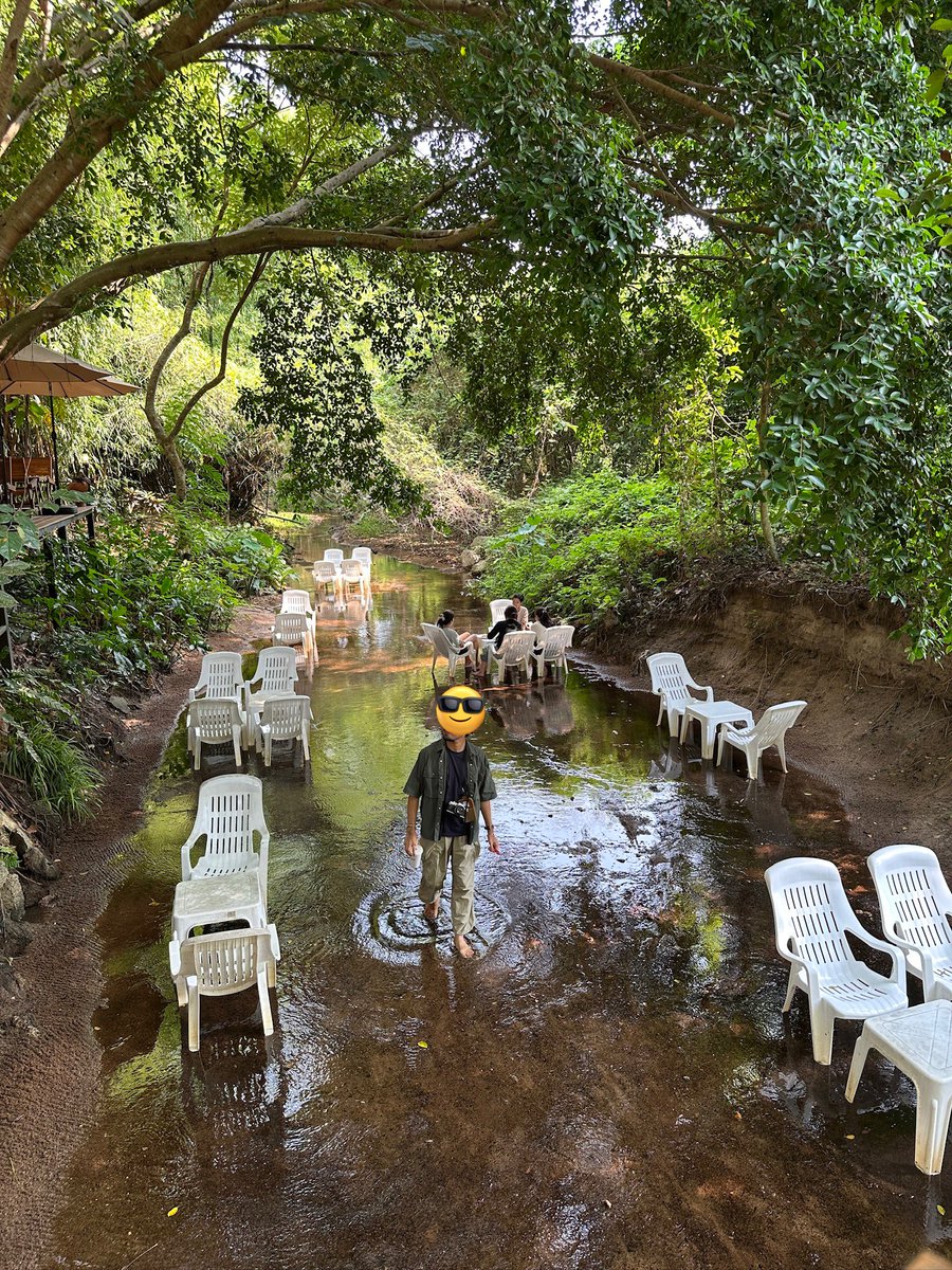 Bom 🏕️ tweet media