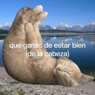 ojoscol0rsol's tweet photo. https://t.co/HGrWwHRGs0