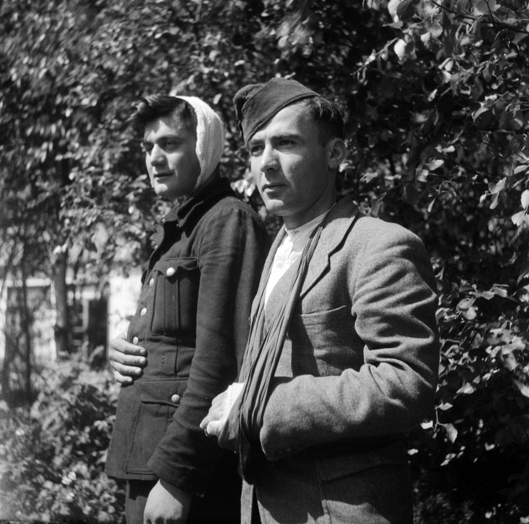 Seb.Nowak. tweet media