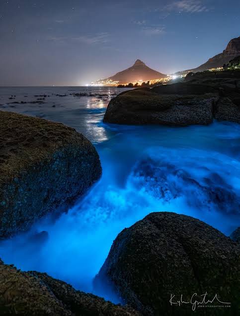 Bella 🇿🇦 tweet media