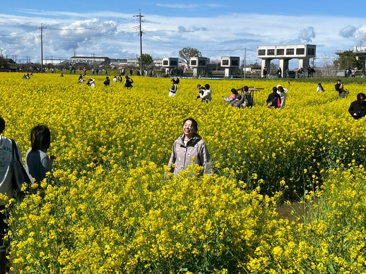 糸原 舞 tweet media