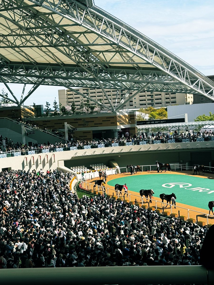 PUNKY-hedgehog tweet media