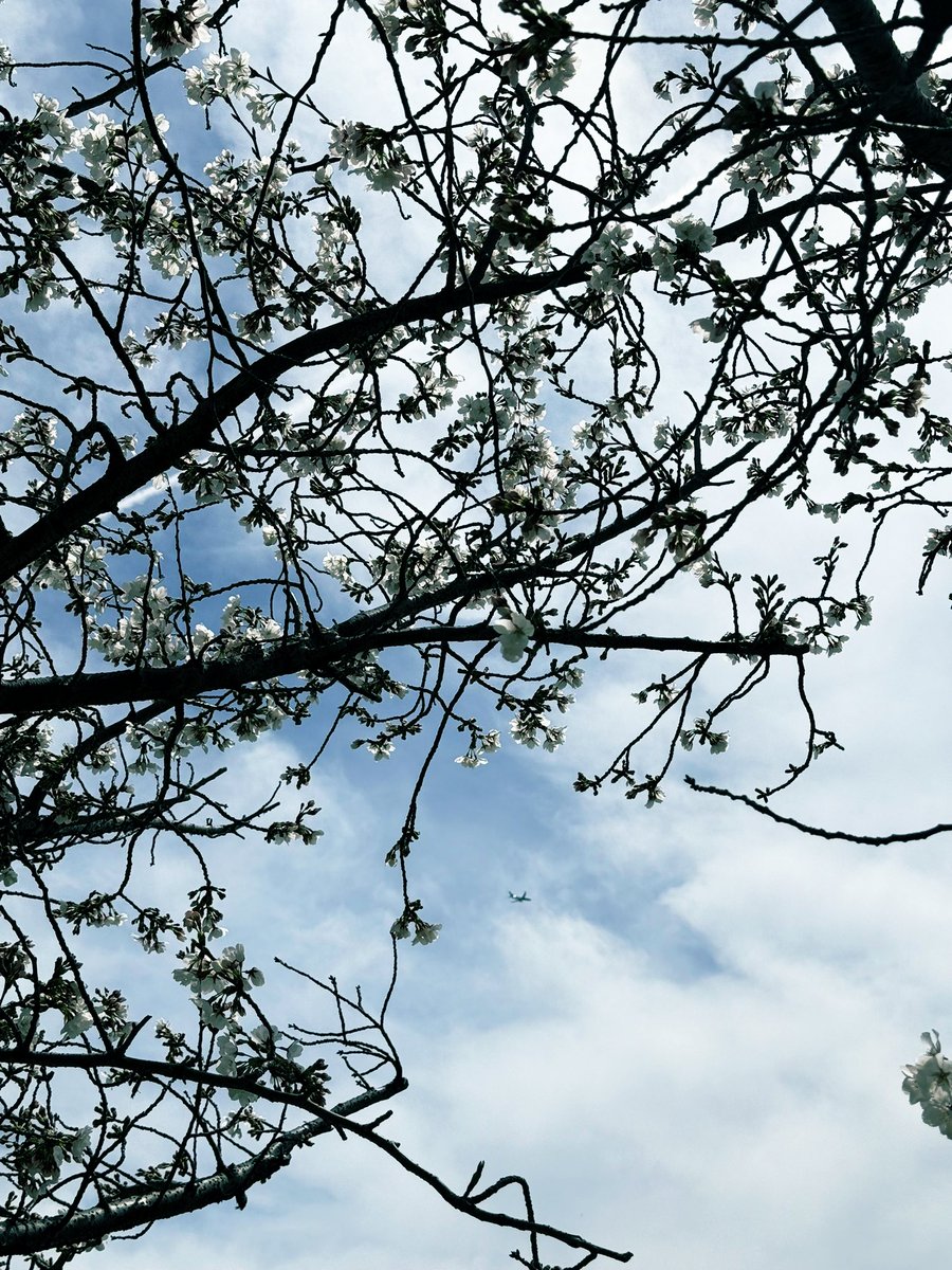 PUNKY-hedgehog tweet media