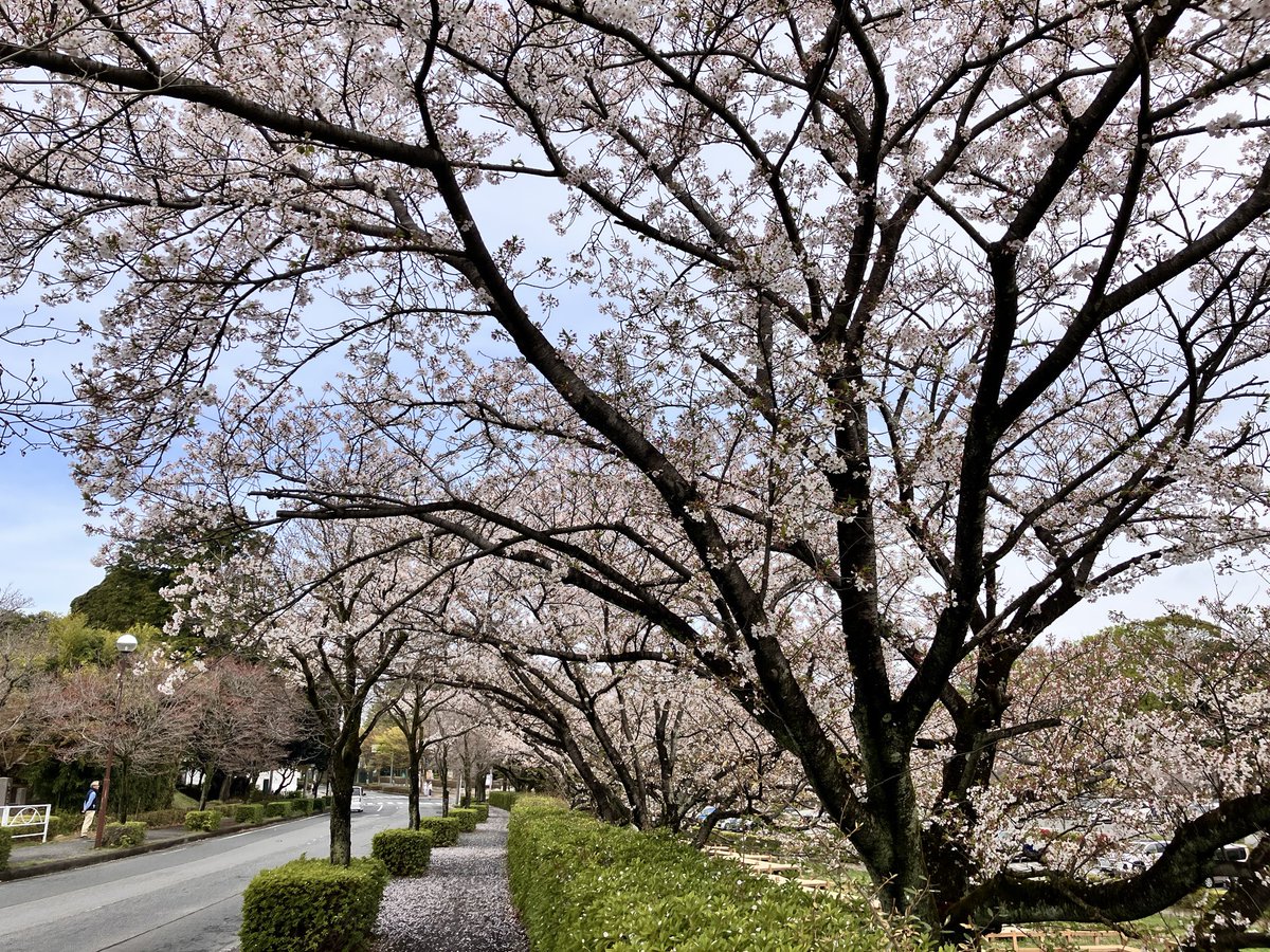 ゆう☆スプリント tweet media