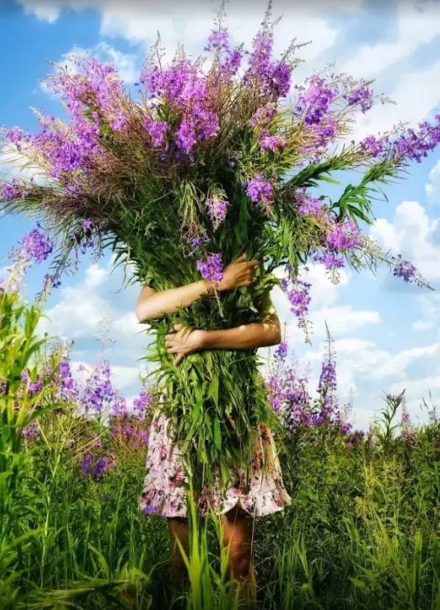 Anja🇷🇺🕊 tweet media