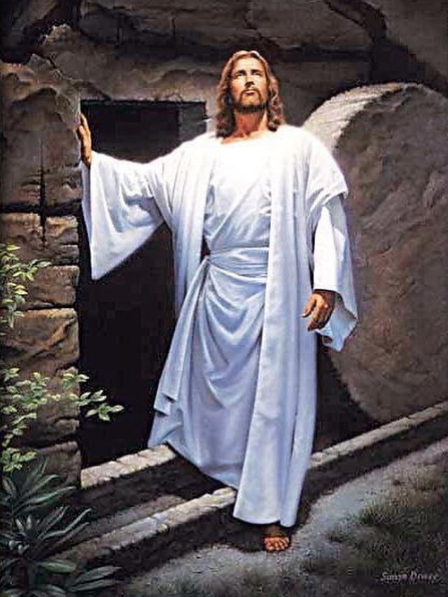 Fco J Rguez Rivera tweet media