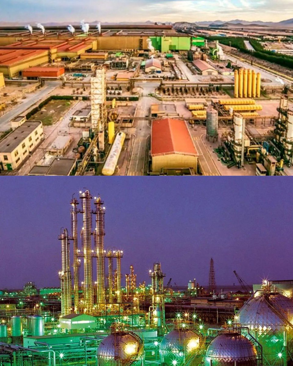 پاشاپور tweet media